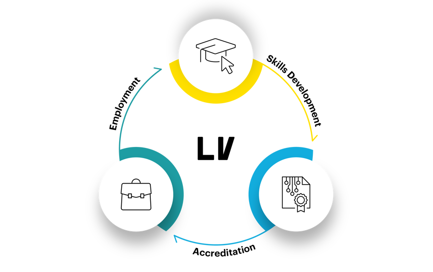 Learning Vault Ecosystem